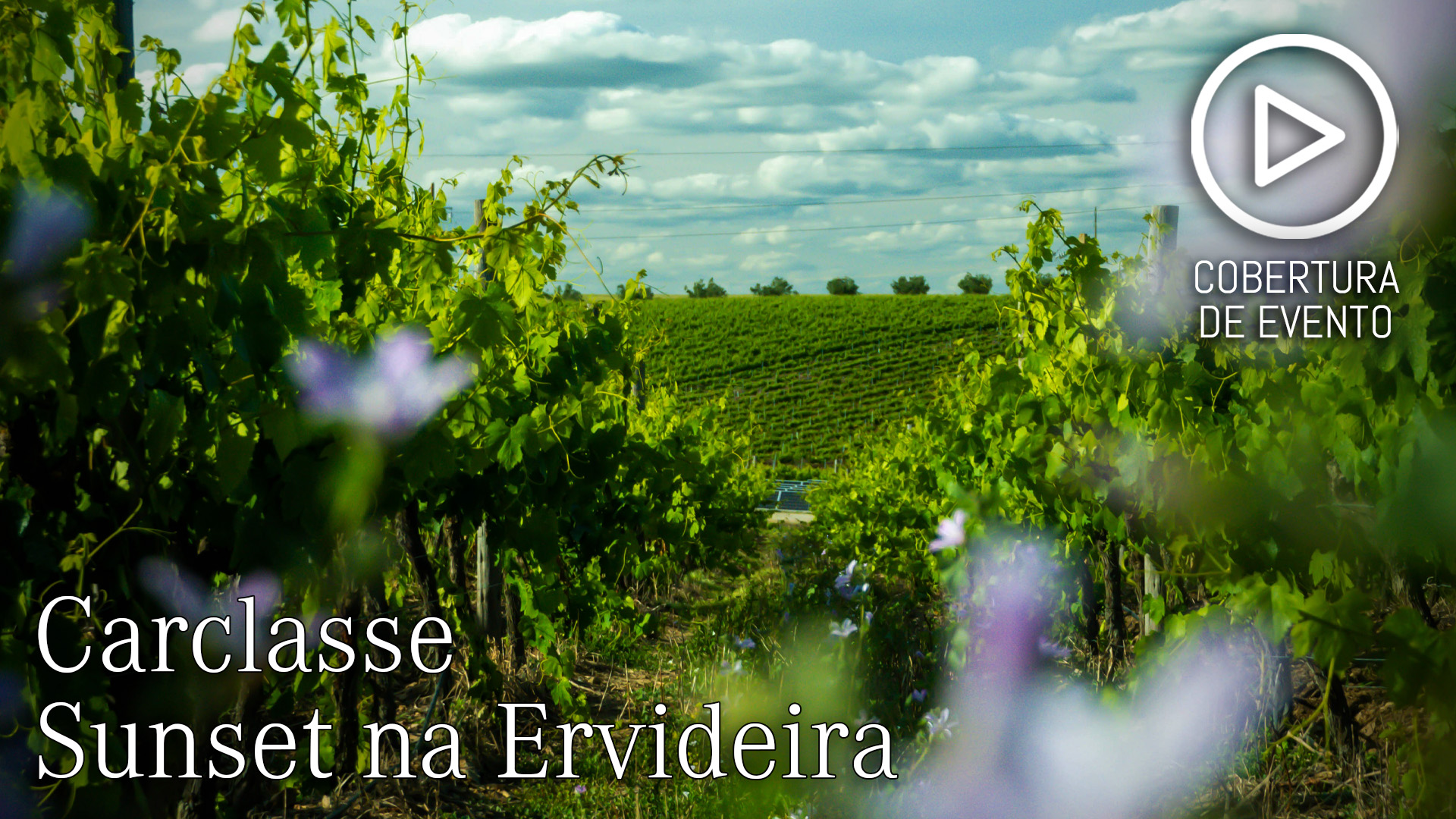 Ervideira